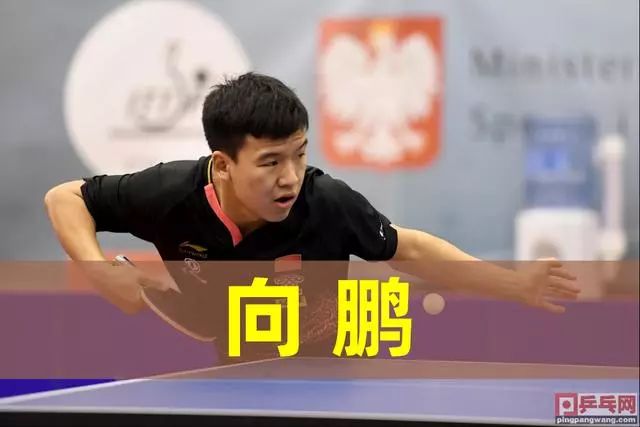 的共同尺度 的共同尺度